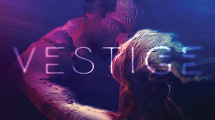 Product cover for VESTIGE
