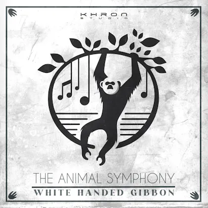 The Animal Symphony - White Handed Gibbon