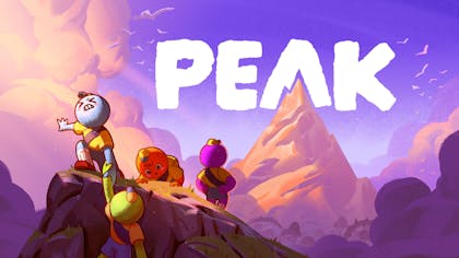 Product cover for PEAK