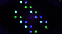 88888dd3-e0ba-4ba6-b41f-414742b710be