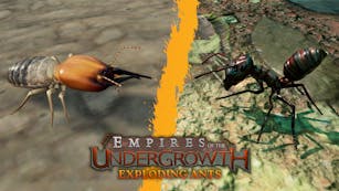 Product cover for Empires of the Undergrowth - Exploding Ants - DLC