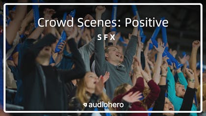 Crowd Scenes Positive