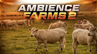 Ambient Video Game Music – Farms 2
