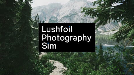 Product cover for Lushfoil Photography Sim