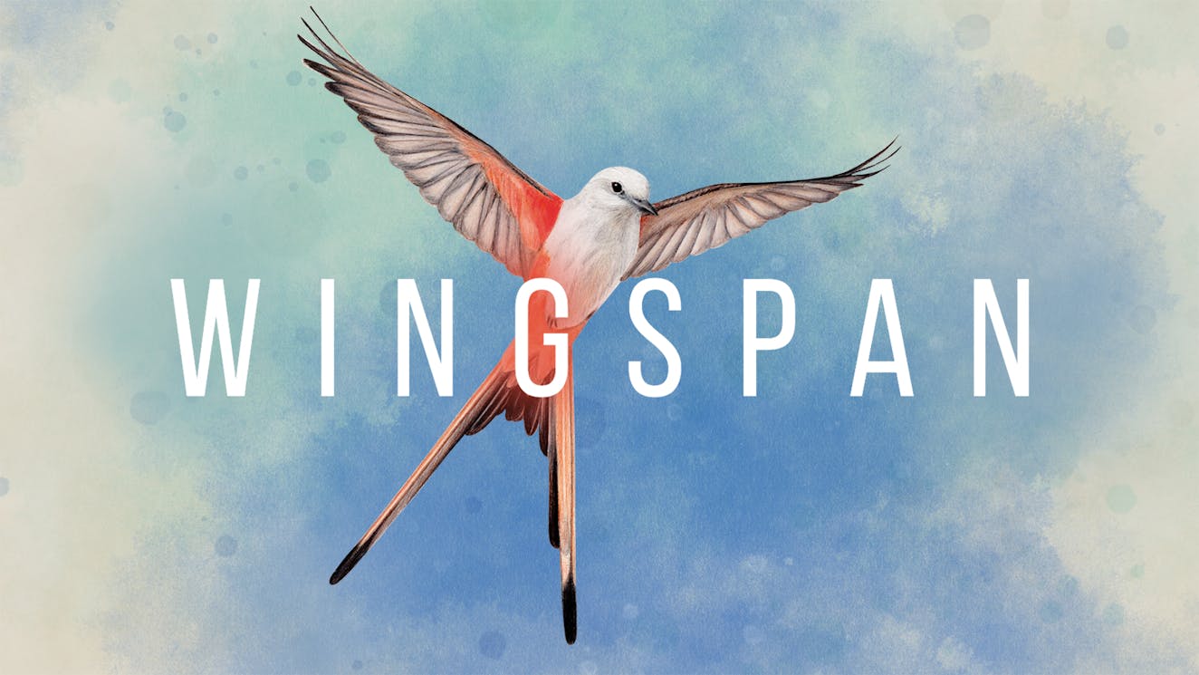 Product cover for Wingspan