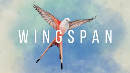 Product cover for Wingspan