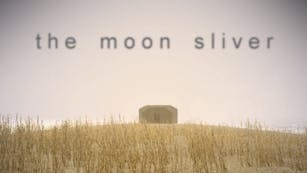 Product cover for The Moon Sliver