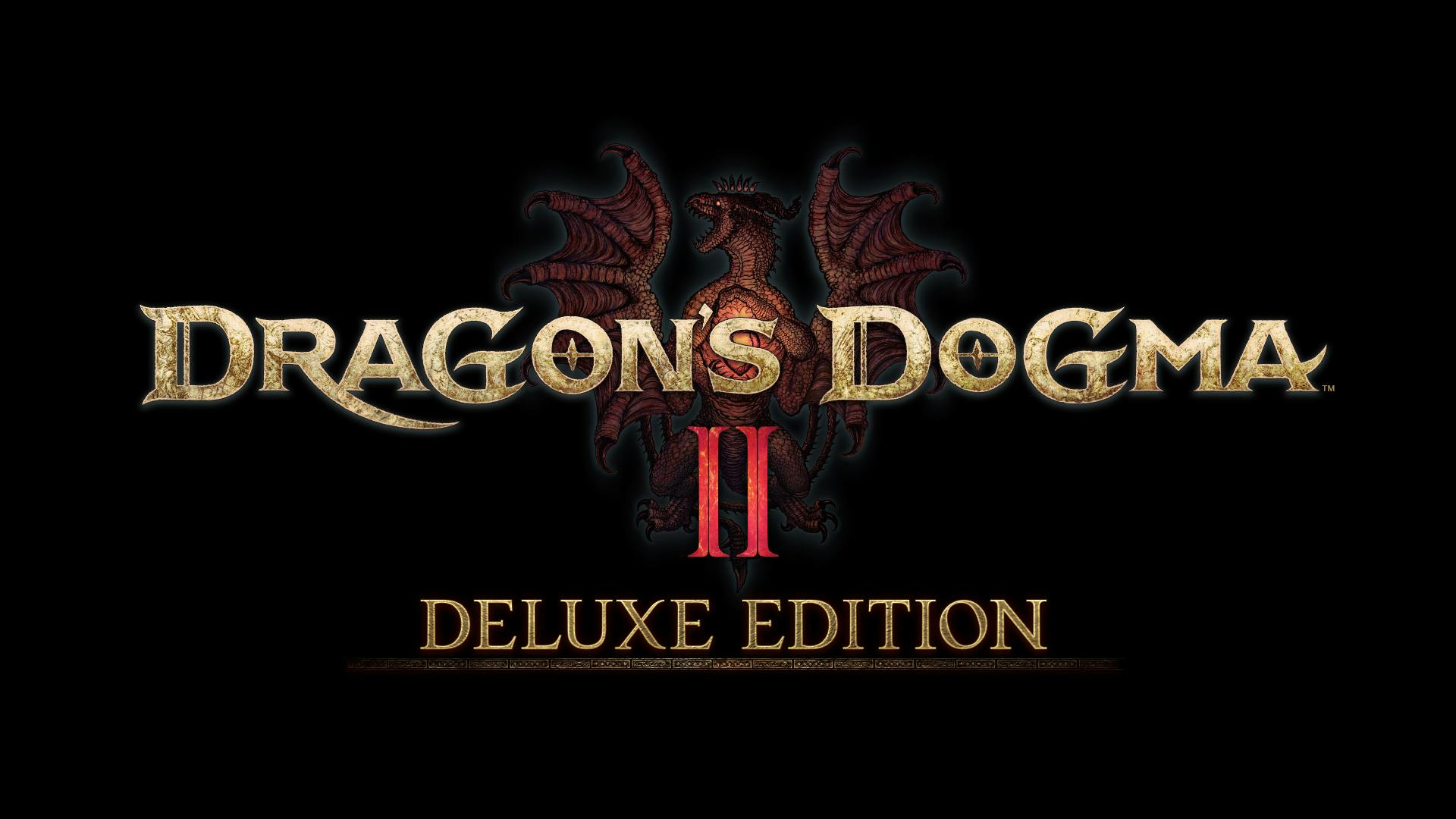 Дракон догма 2. Драгонс Догма 2. Dragon's Dogma в компании. Драгон Догма.