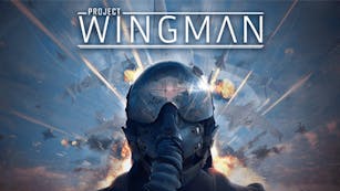Product cover for Project Wingman