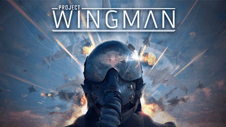 Product cover for Project Wingman