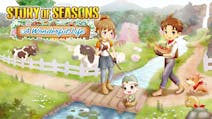 Product cover for STORY OF SEASONS: A Wonderful Life