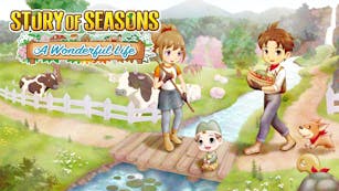 Product cover for STORY OF SEASONS: A Wonderful Life