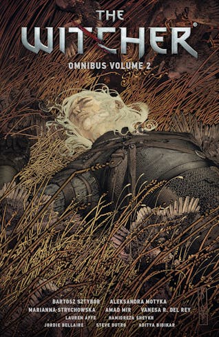 The Witcher Omnibus Volume 2