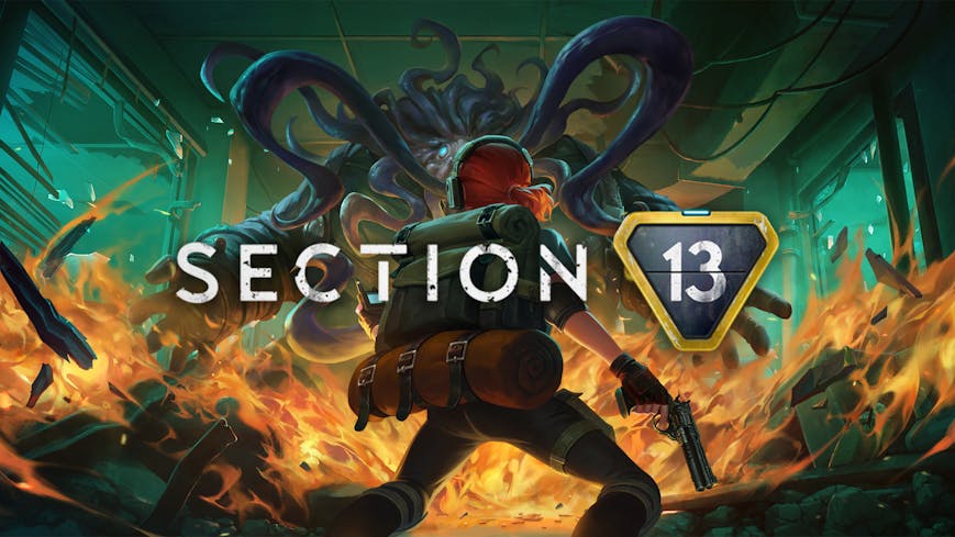 Product cover for Section 13