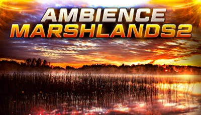 Ambience Marshlands 2