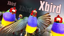 Xbird