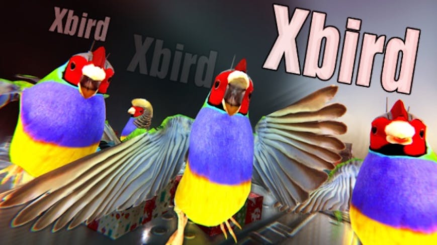 Xbird