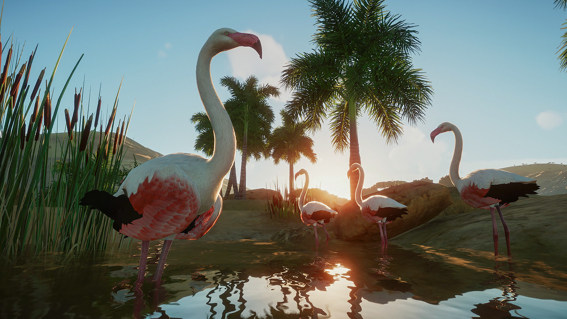 planet zoo steam download free planet zoo steam download free