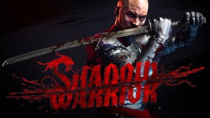 Product cover for Shadow Warrior