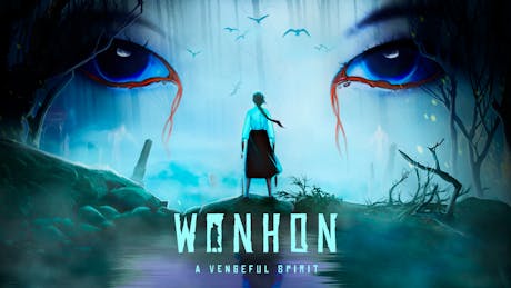 Product cover for Wonhon: A Vengeful Spirit