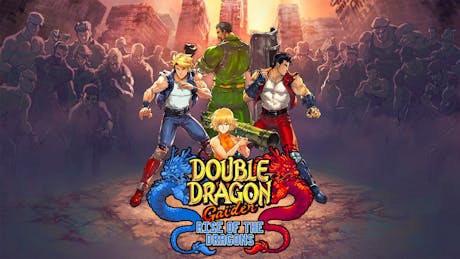 Product cover for Double Dragon Gaiden: Rise Of The Dragons