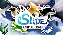 Product cover for Slide - Animal Race