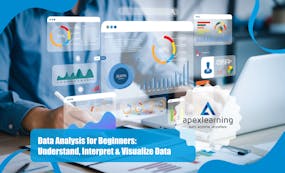 Data Analysis for Beginners: Understand, Interpret & Visualize Data