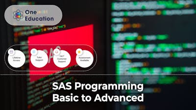 SAS Programming Basic to Advanced