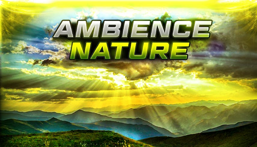 Ambience Nature