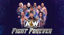 Product cover for AEW: Fight Forever