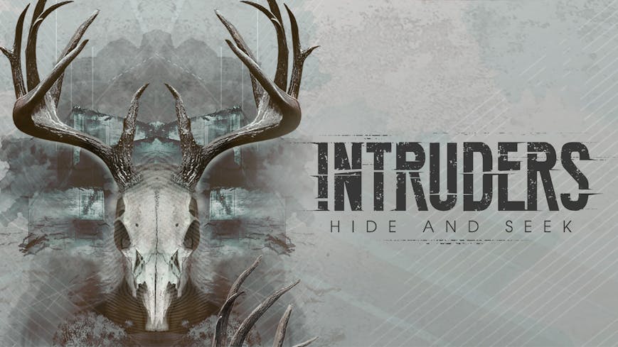 Intruders: Hide and Seek