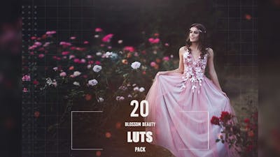 20 Blossom Beauty LUTs Pack