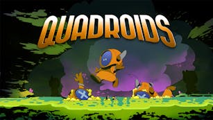 Quadroids