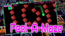 Product cover for Feel-A-Maze