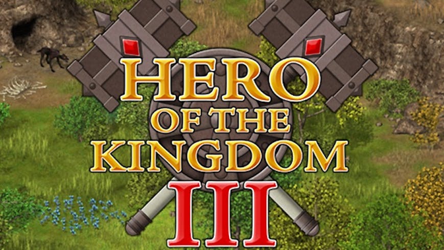 Hero of the Kingdom III