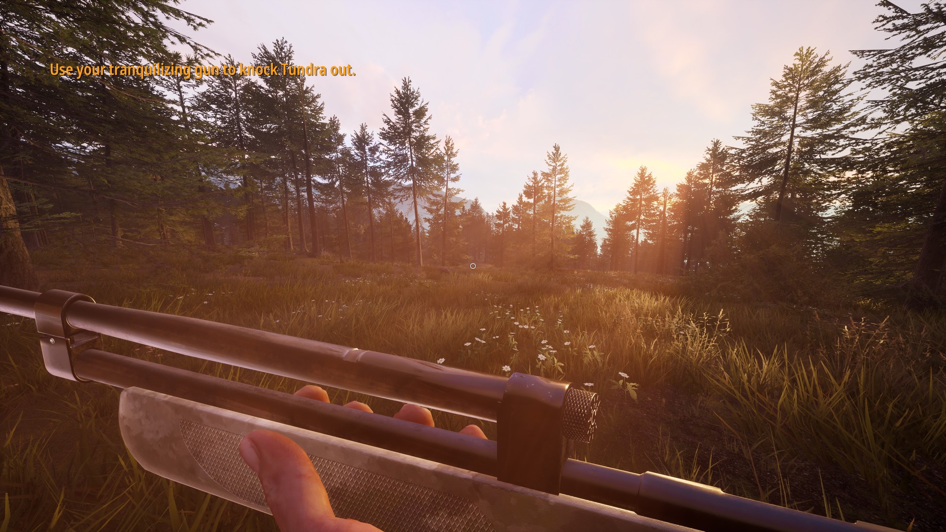 hunting simulator 2 platforms