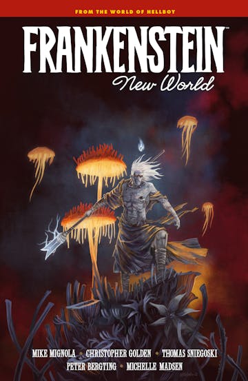 Product cover for Frankenstein: New World