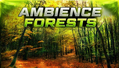 Ambience Forests