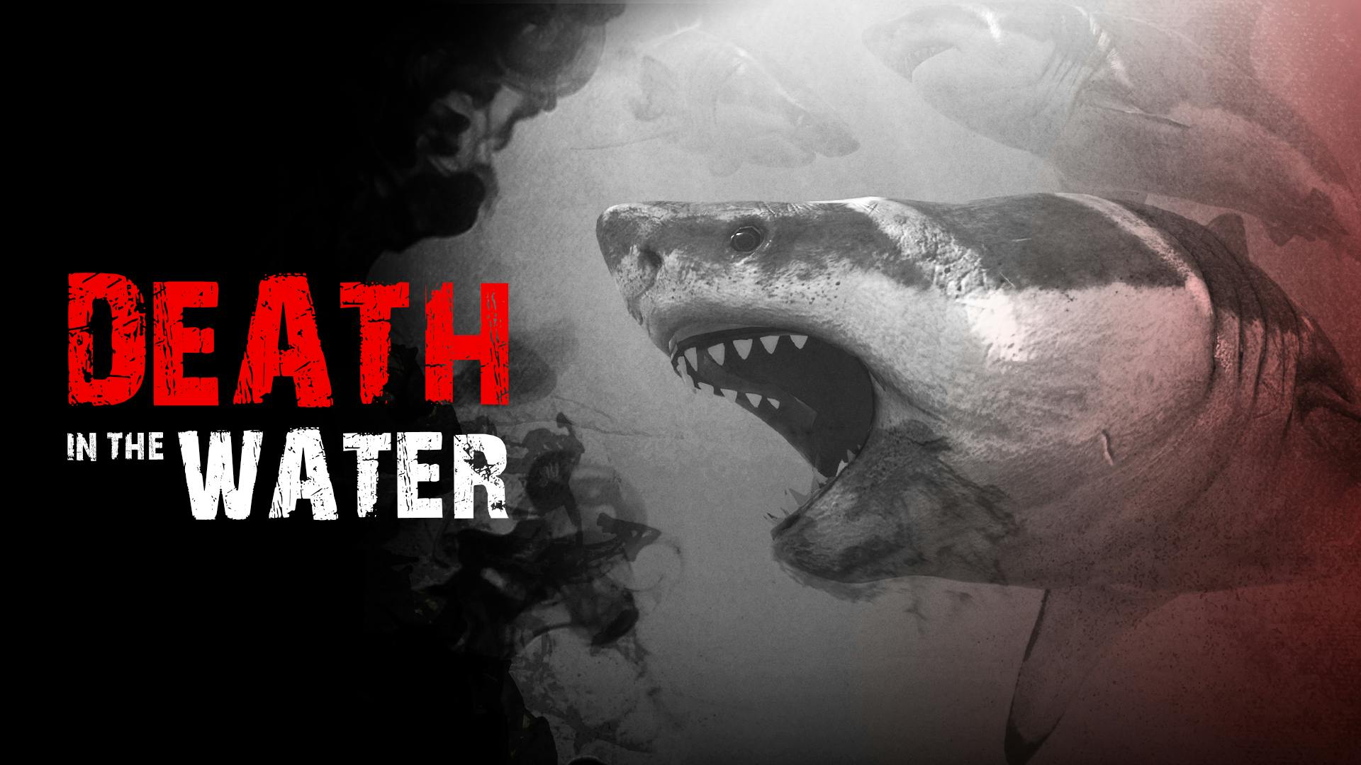 death-in-the-water-pc-mac-steam-game-fanatical