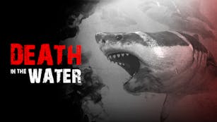 Product cover for Death in the Water