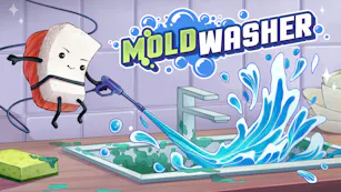Moldwasher