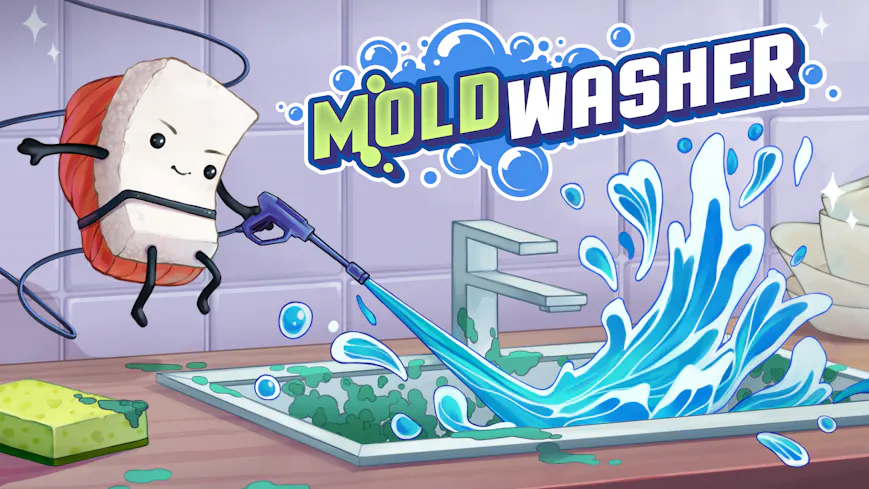 Product cover for Moldwasher