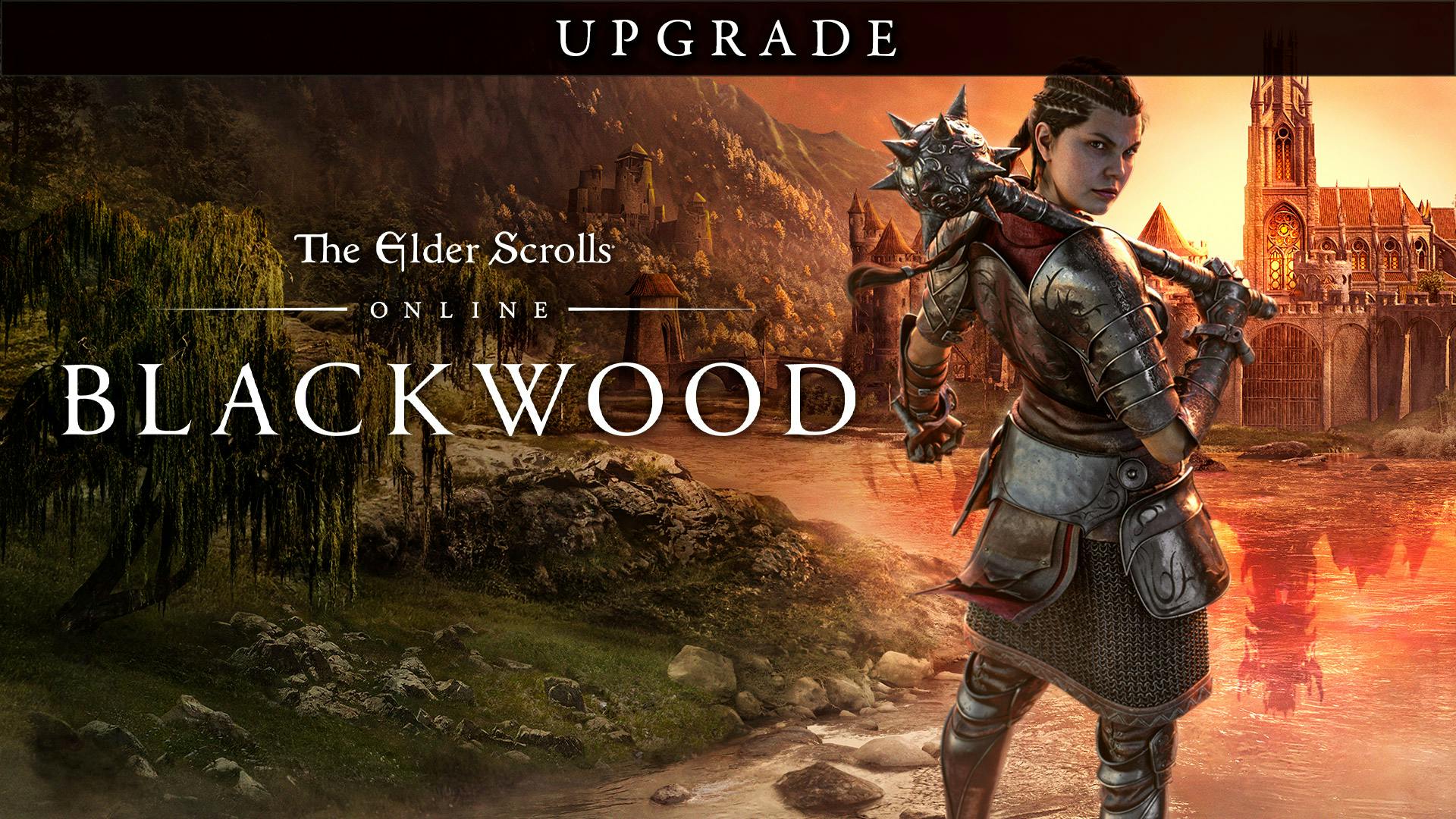 The elder scrolls online blackwood upgrade что входит в игру