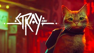 Product cover for Stray