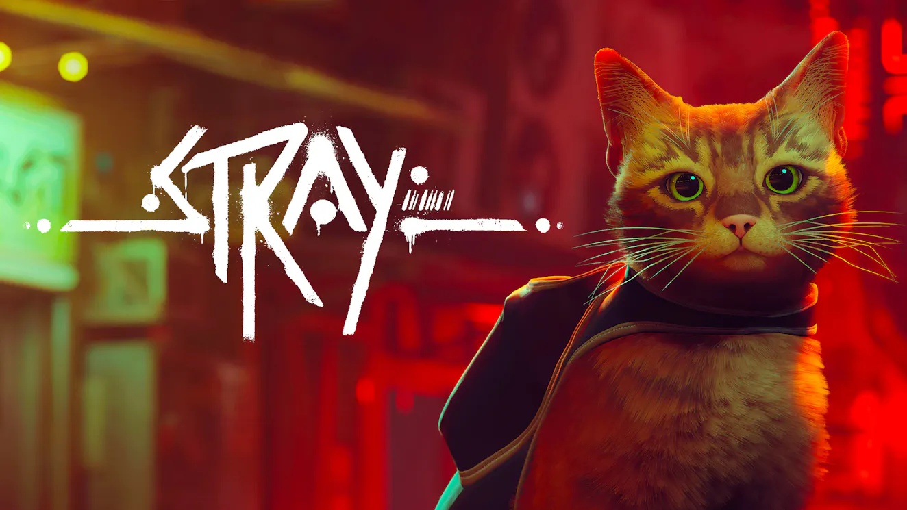 Product cover for Stray