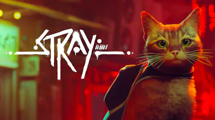 Product cover for Stray