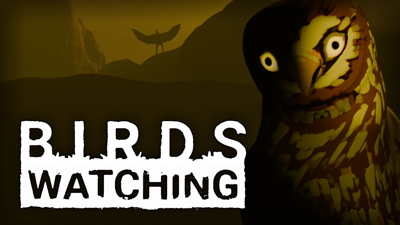 Birds Watching
