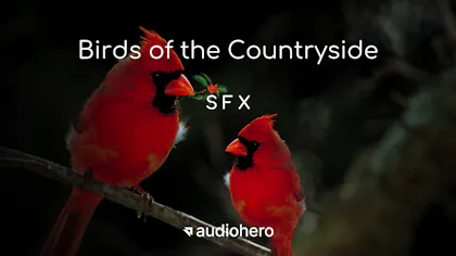 Birds of the Countryside